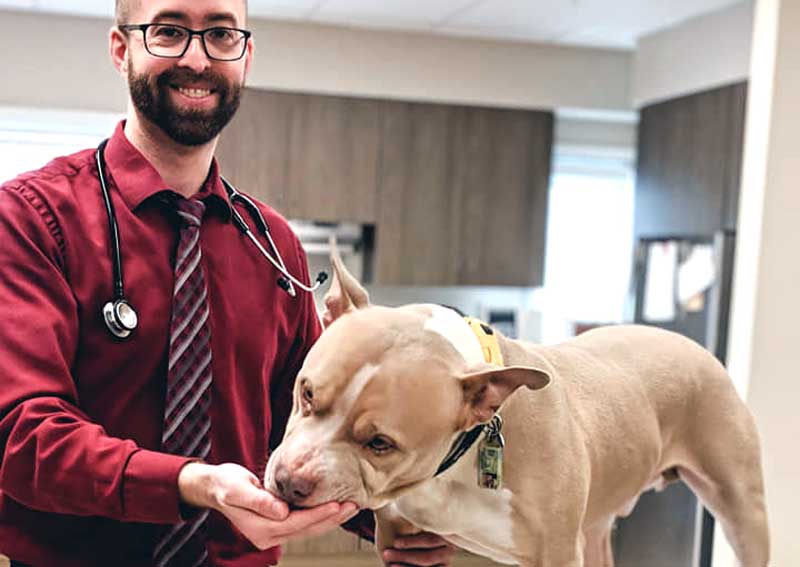 Carousel Slide 3: Dog veterinary care